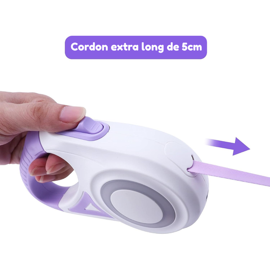 Laisse anti-traction avec lumières LED