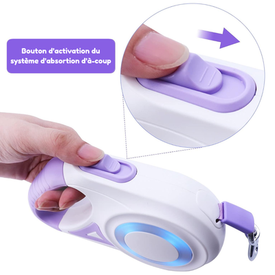 Laisse anti-traction avec lumières LED